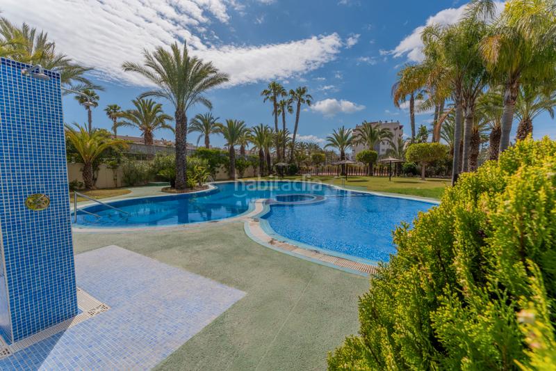 Foto 142c6843-561e-42ba-bb33-1660967149c1. Piccolo appartamento con riscaldamento parcheggio piscina in Elche / Elx