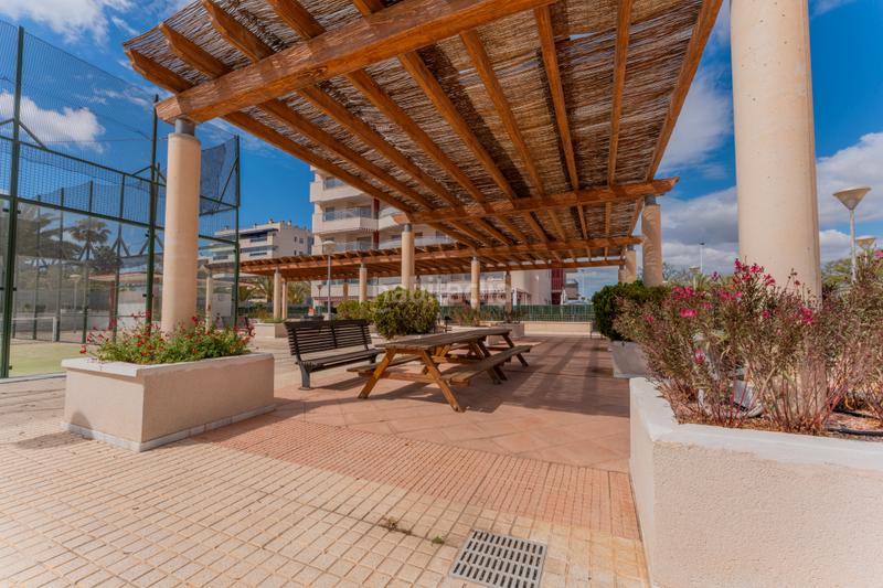 Foto 14662d03-51f5-4e48-846d-837753f61329. Piccolo appartamento con riscaldamento parcheggio piscina in Elche / Elx