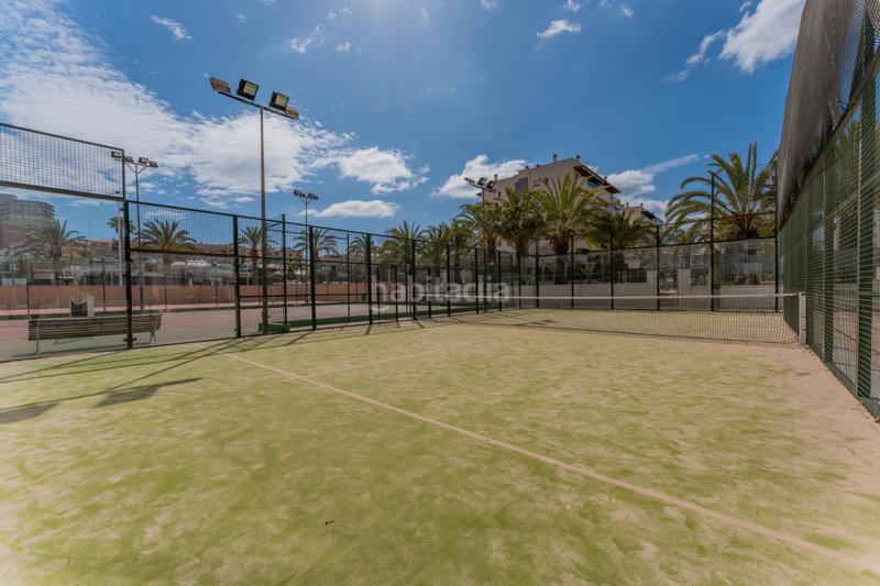 Foto 48dc010b-1438-4292-b900-370f4bf5dc99. Piccolo appartamento con riscaldamento parcheggio piscina in Elche / Elx