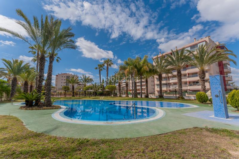 Foto 5385f980-773d-43ff-bf48-01ecb09e1f05. Piccolo appartamento con riscaldamento parcheggio piscina in Elche / Elx