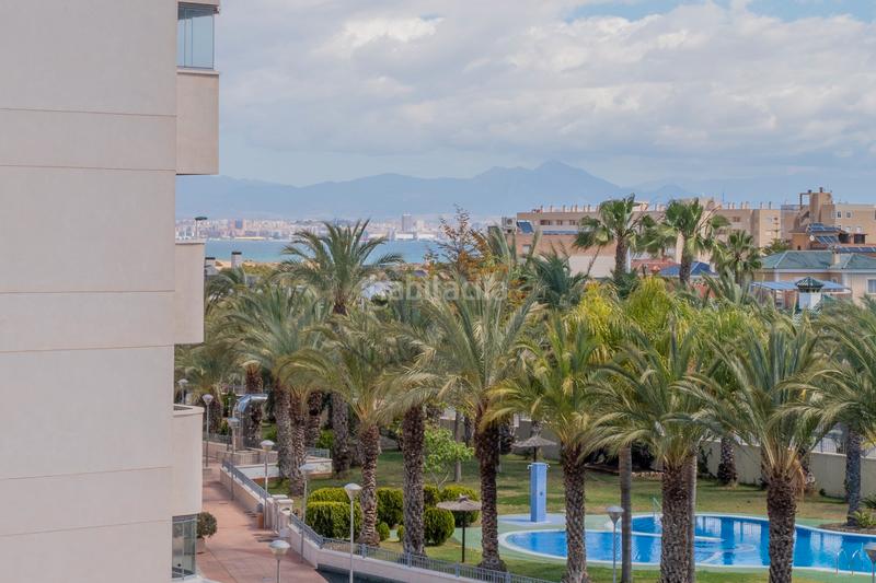 Foto 752e2c6b-d6f0-42b5-8cc2-7116bd68c82d. Piccolo appartamento con riscaldamento parcheggio piscina in Elche / Elx