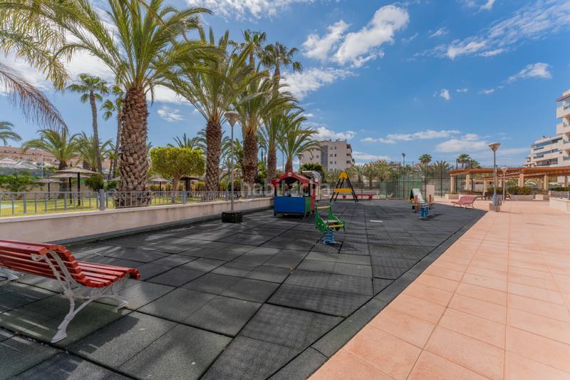 Foto 7c3359f8-5aff-40bd-88ef-b900b44ecc8b. Piccolo appartamento con riscaldamento parcheggio piscina in Elche / Elx