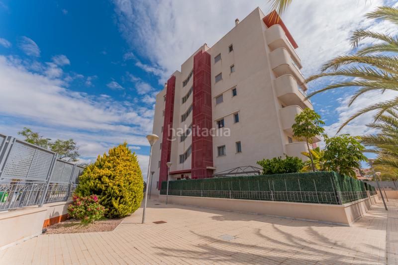 Foto 862fb000-d145-47cb-8c1b-9171a2a7eefa. Piccolo appartamento con riscaldamento parcheggio piscina in Elche / Elx