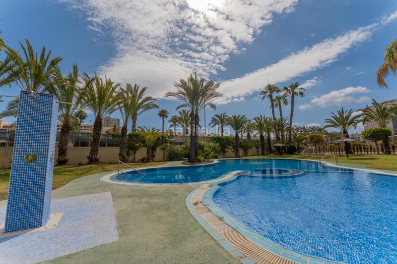 Foto 8971885b-31a1-4866-ae0e-8428a2058891. Piccolo appartamento con riscaldamento parcheggio piscina in Elche / Elx