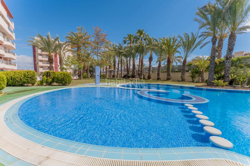 Foto 8c88654c-376a-4537-be51-8edd5f7cbe20. Piccolo appartamento con riscaldamento parcheggio piscina in Elche / Elx