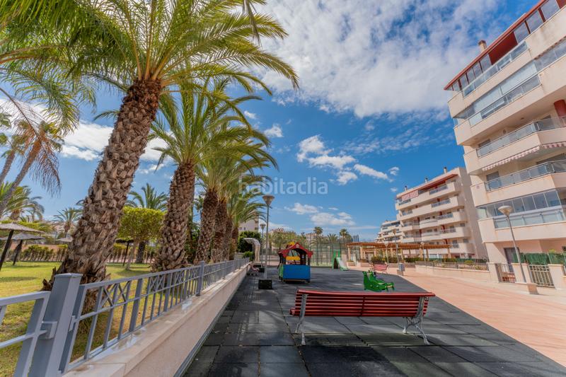 Foto 8cc1996b-58e9-4803-ae0b-baa756041b79. Piccolo appartamento con riscaldamento parcheggio piscina in Elche / Elx