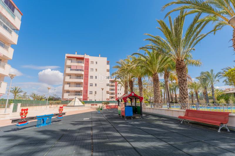 Foto b7690990-843e-44be-b1fe-3dd8ac855692. Piccolo appartamento con riscaldamento parcheggio piscina in Elche / Elx