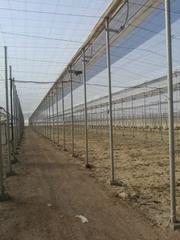 Finca rústica en Nijar Pueblo. Venta de invernadero en el 21 nijar