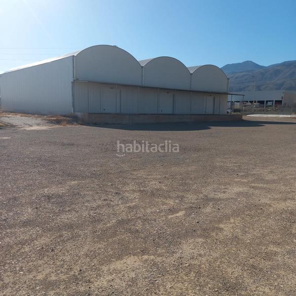 Foto 598f4d2d-ab89-4257-946c-150009d56474. Lloguer finca rústica a Santo Domingo Ejido (El)