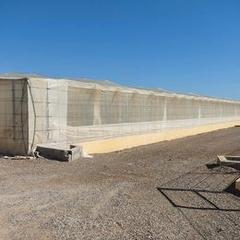 Finca rústica en Camino calesa 415. (gran oportunidad) de invernadero nuevo de 5 hectareas en la ven