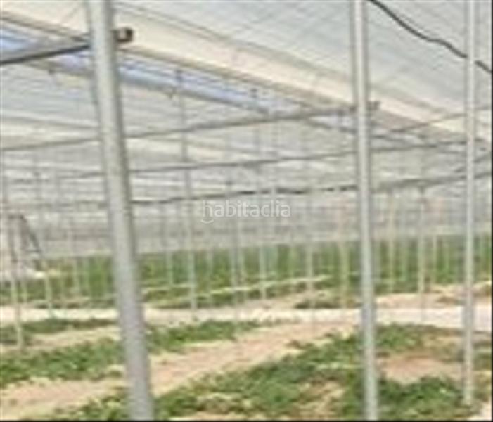 Foto b9ceef2c-842c-4055-8395-8efae0ec0f0a. Propriété dans calle cortijo del jabonero 15 dans San Isidro - Campohermoso Níjar