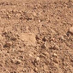 Finca rústica a Avenida de juan bonachera 4c. Venta de baldío de 15.000m en roquetas de mar cercano a la plaza