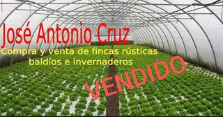 Finca rústica a Poligono sector r-8 59. Venta de invernadero de 8000 metros en balanegra .