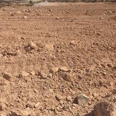 Finca rústica a Avenida de juan bonachera 4c. Venta de baldío de 15.000m en roquetas de mar .