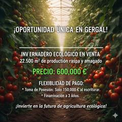 Finca rústica a Calle ollerias 23. (gran facilidad de pago) en invernadero en gergal.