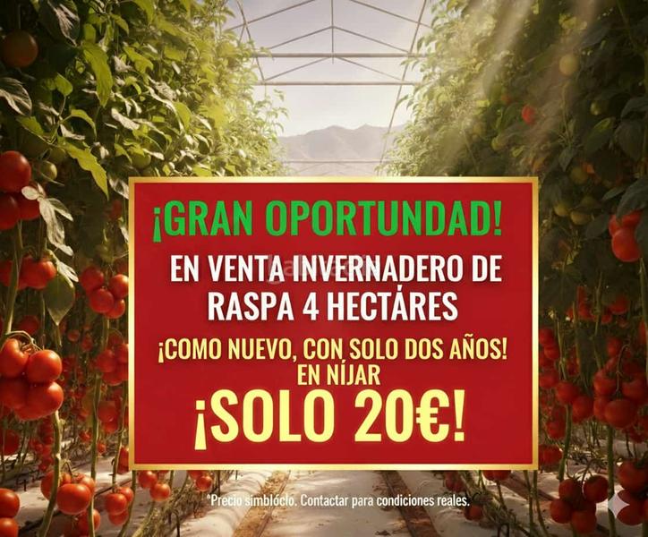 Foto 7fa5ed0c-e9f9-4c25-bb7d-9fe23ffa5e15. Fondo rustico in callejón de la semilla 3 in Nijar Pueblo Níjar