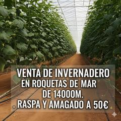 Finca rústica a Avenida de carlos iii 37. Venta de invernadero en roquetas de mar.