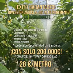 Fondo rustico in N/a. (facilidad de pago) en invernadero en barranquete níjar de 6 hec