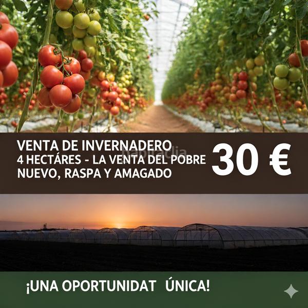 Foto 4d7dd3dd-d4e6-455e-a20b-9cabdfa0dabc. Propriété dans camino calesa 8 dans San Isidro - Campohermoso Níjar