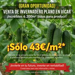 Fondo rustico in Calle baja estación 9. Venta de invernadero plano de 6200m.en vicar.