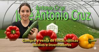 Fondo rustico in Calle baja estación 9. Venta de invernadero de 18000m en vicar.