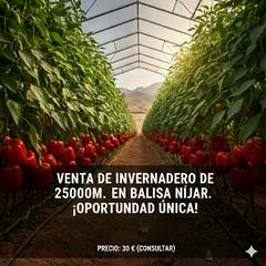 Fondo rustico in Calle julio césar 2. Venta de invernadero en la zona de balisa .