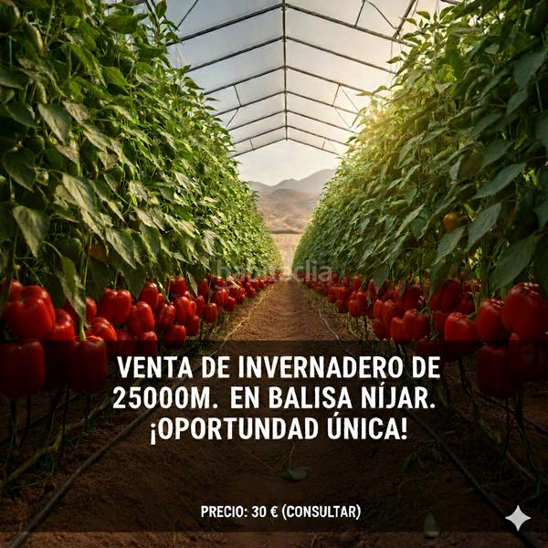 Foto 357d7faf-5a00-484b-9ed0-fb8ba412e6d9. Fondo rustico in calle julio césar 2 in San Isidro - Campohermoso Níjar