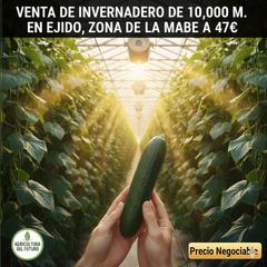 Finca rústica en Santo Domingo. Venta de invernadero de 1 hectáreas  negociable.