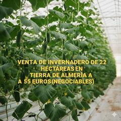 Finca rústica en Paraje la cumbre 35. Venta de invernadero de 22 hectáreas en tierras de almería