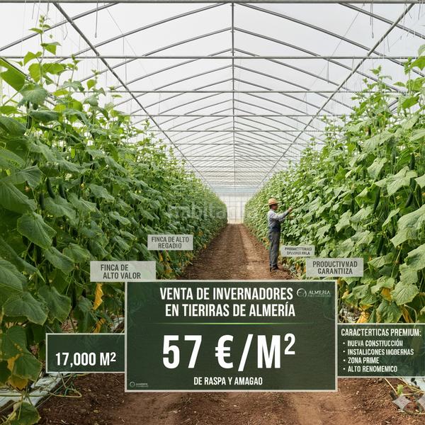 Foto c93044ee-5ef7-42e6-8c4c-49b91b4ebc53. Finca rústica a paraje la cumbre 35 a Almerimar Ejido (El)