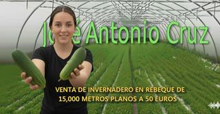 Finca rústica a Calle rebeque 20. Venta de invernadero en rebeque de 15.000m