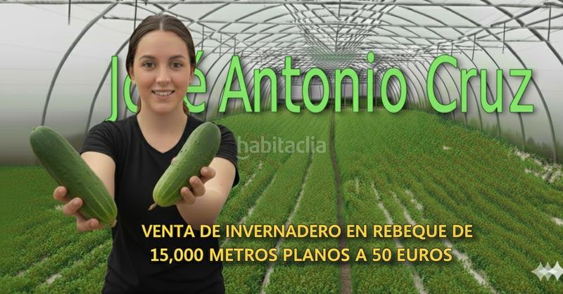 Foto e569ea73-2ae8-4d38-827b-4b105d791005. Finca rústica en calle rebeque 20 venta de invernadero en rebeque de 15.000m en Ejido (El)
