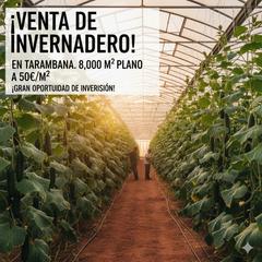 Rural plot in Paraje tarambana 3. Venta de invernadero  plano en tarambana  de 8000m.