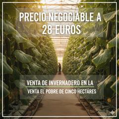Finca rústica en N/a. Venta de invernadero en la venta pobre de 5 hectáreas