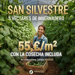 Finca rústica en Calle pico del águila 46. Venta de invernadero en san silvestre ejido