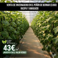 Finca rústica en Avenida las naciones 43. Venta de invernaderos de 2 hectáreas en el peñon de brrnal