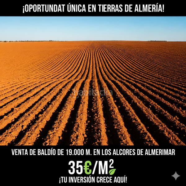 Foto 67bf8545-4880-4be7-865b-4ea936548168. Fondo rustico in calle gaviota 1 in Almerimar Ejido (El)