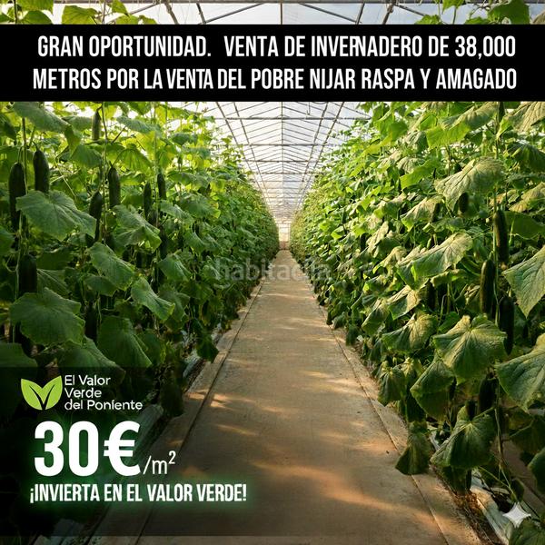 Foto e3d87cec-aa97-47d3-b9cc-9d636c6439dd. Propriété dans camino calesa 8 dans San Isidro - Campohermoso Níjar