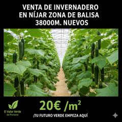 Fondo rustico in Callejón de la semilla 3. Venta de invernadero en la zona de balisa nijar