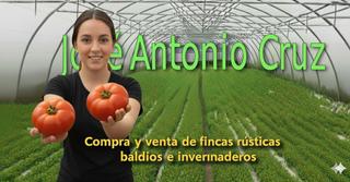 Rural plot in Calle cristo 1. Venta de invernadero de 25000m nijar