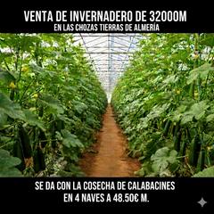 Finca rústica a Paraje la cumbre 35. Venta de invernadero de 32000m en tierras de almería, (se entreg