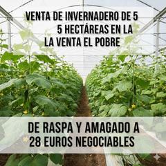 Rural plot in Camino calesa 8. Venta  de  invernadero de 5 hectareas  en la ven5a pobre. negoci