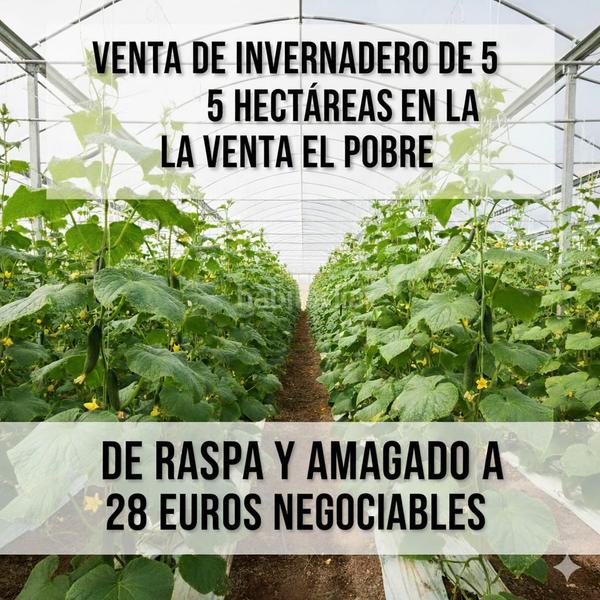 Foto 3a86182b-77ac-4c20-ba7a-27b84bdc86a0. Propriété dans camino calesa 8 dans San Isidro - Campohermoso Níjar