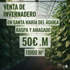 Fondo rustico in Calle águila 7. Venta de invernadero en santa maria del aguila,ejido de 11000m.