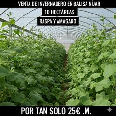 Finca rústica a N/a. Venta de invernadero de 10 hectareas en balisa nijar.(gran oport