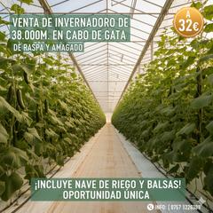 Finca rústica a Calle atarazanas de cabo de gata 27. Venta de invernadero de 38000m en cabo de gata.
