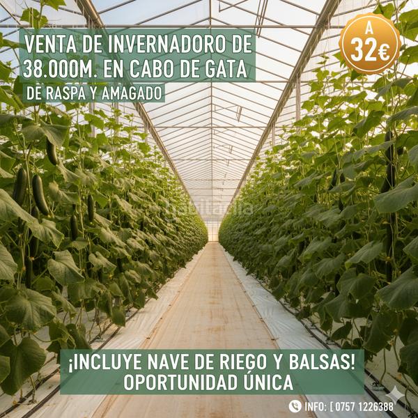 Foto 5315ed5c-397c-46be-93ef-6407ec0179d8. Rural plot in calle atarazanas de Cabo de Gata 27 in Cabo de Gata