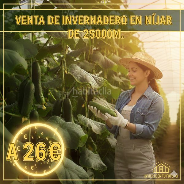 Foto fb694b78-cf48-4a3f-b908-c6707ec6d639. Finca rústica a n/a a Nijar Pueblo Níjar