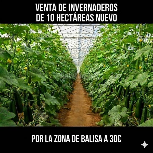 Foto bff80c3a-5fa1-4b7d-80bd-c67677cbc2f0. Finca rústica a n/a a Nijar Pueblo Níjar