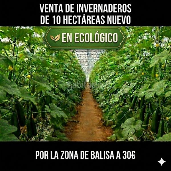 Foto d057dff4-b2fc-4d67-80ca-a4d42f54dbc5. Finca rústica a n/a a Nijar Pueblo Níjar